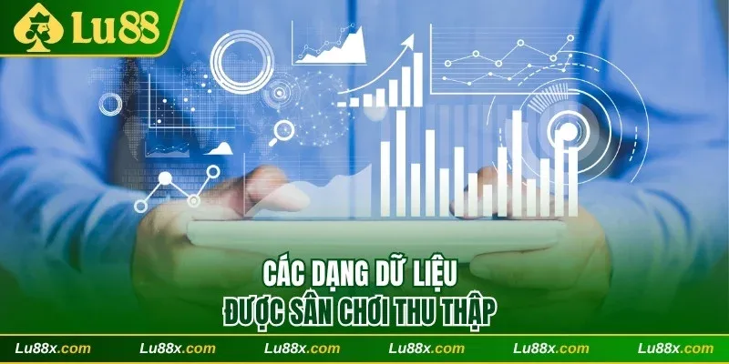 Các dạng dữ liệu được sân chơi thu thập