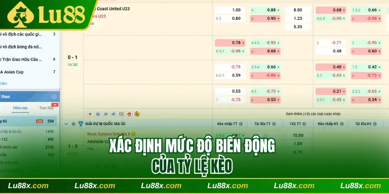 Xác định mức độ biến động của tỷ lệ kèo