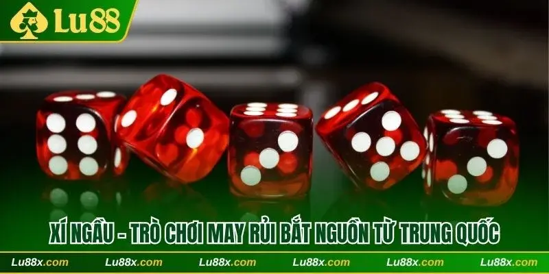 Xí ngầu – Trò chơi may rủi bắt nguồn từ Trung Quốc